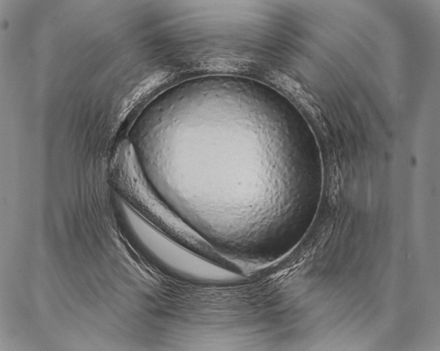 X0000087380299200704271604