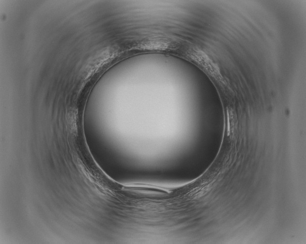 X0000087380300200704271604