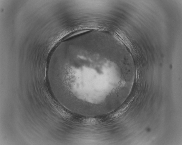 X0000087380301200704271604