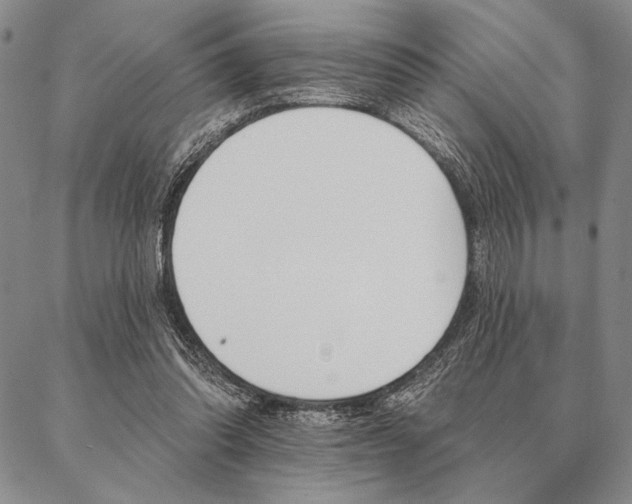 X0000087380302200704271604