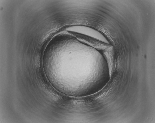 X0000087380303200704271604