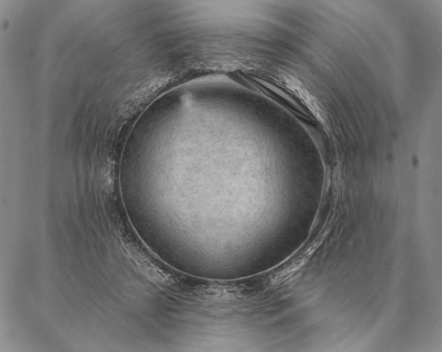 X0000087380305200704271604