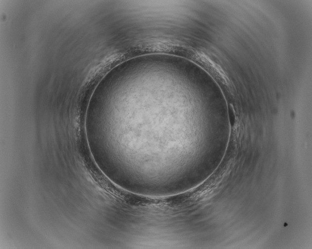 X0000087380306200704271604