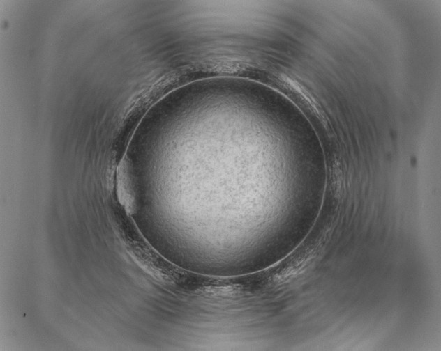 X0000087380307200704271604