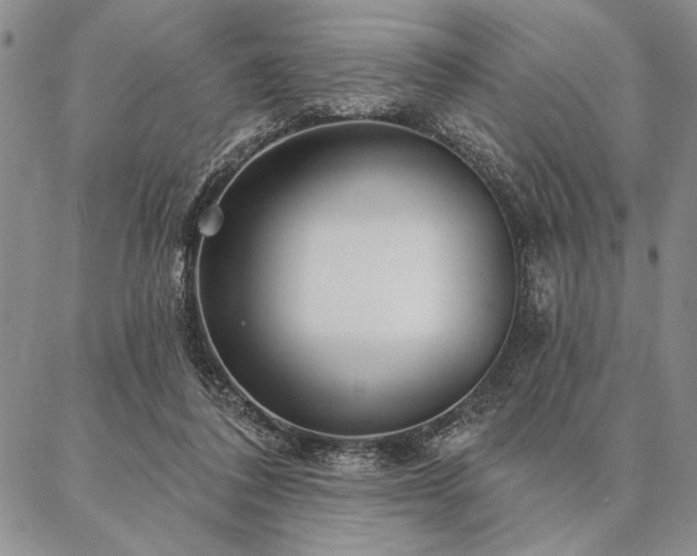 X0000087380308200704271604