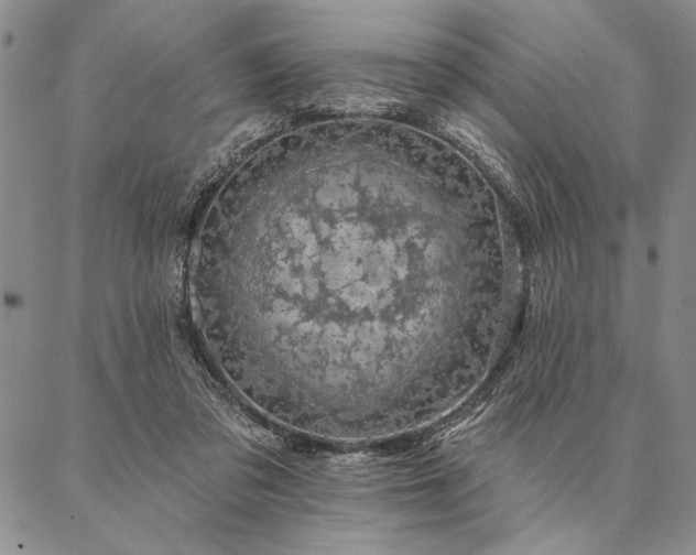 X0000087380309200704271604