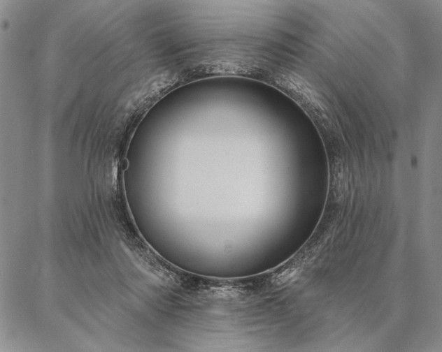 X0000087380310200704271604