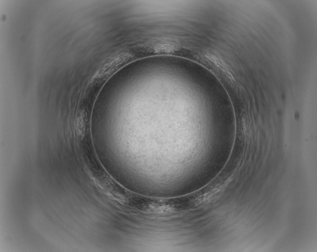 X0000087380311200704271604