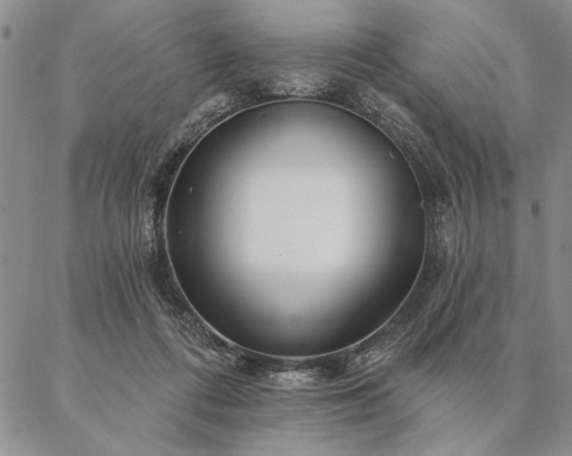 X0000087380312200704271604