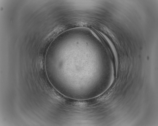 X0000087380313200704271604