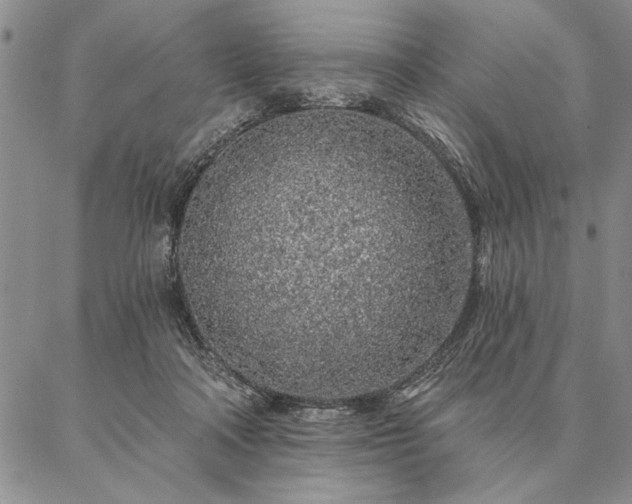 X0000087380314200704271604