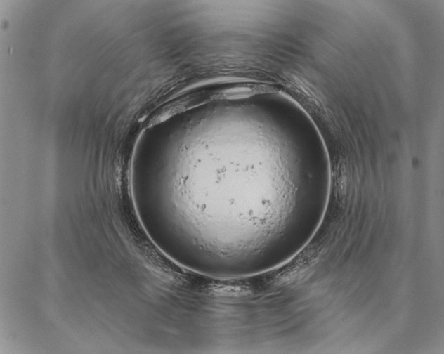 X0000087380315200704271604