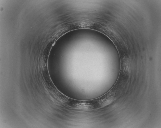 X0000087380316200704271604