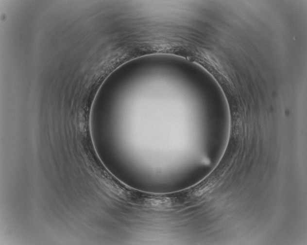 X0000087380317200704271604