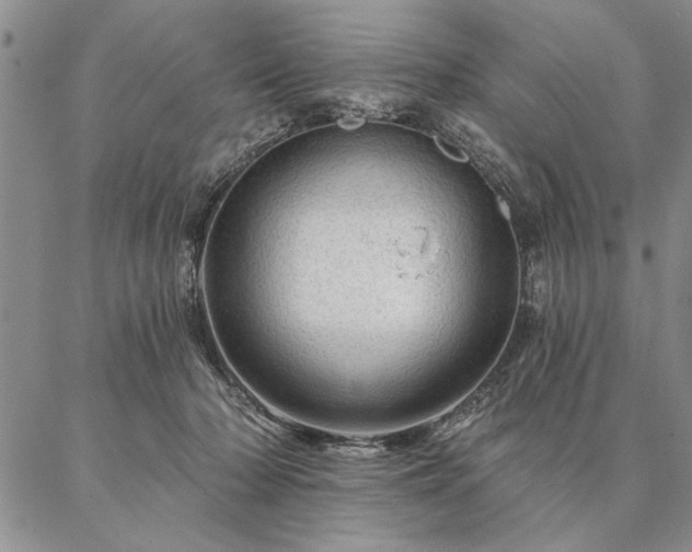 X0000087380318200704271604