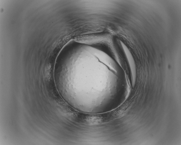 X0000087380319200704271604