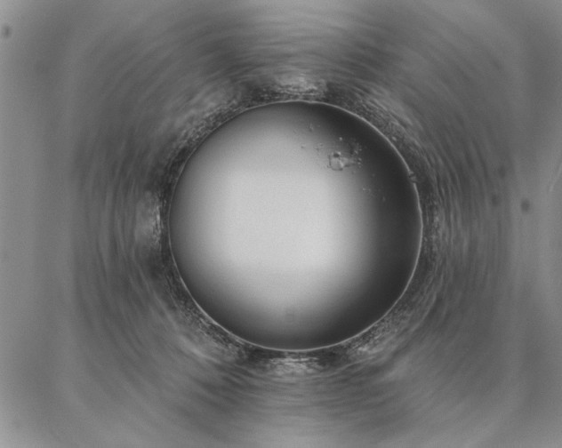 X0000087380320200704271604