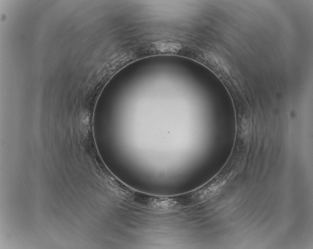 X0000087380321200704271604