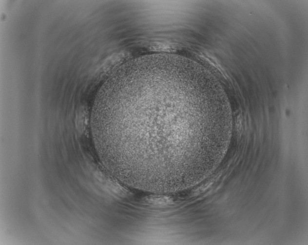 X0000087380322200704271603