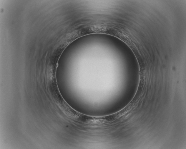 X0000087380323200704271603