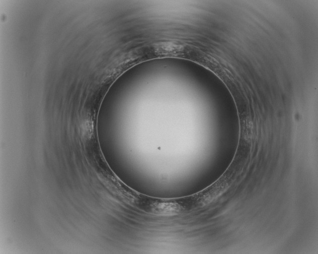 X0000087380324200704271603