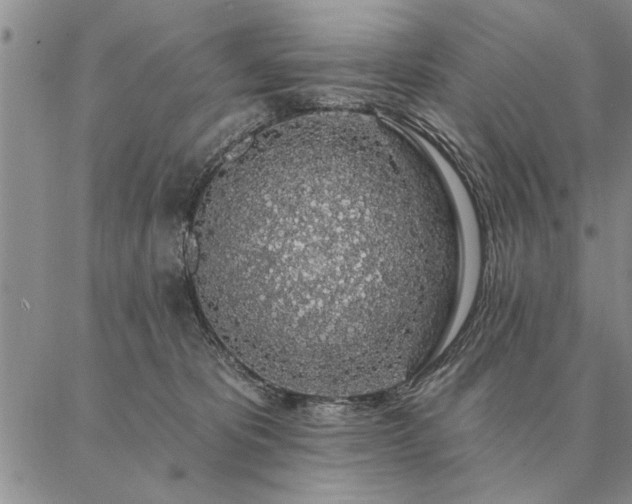 X0000087380325200704271603