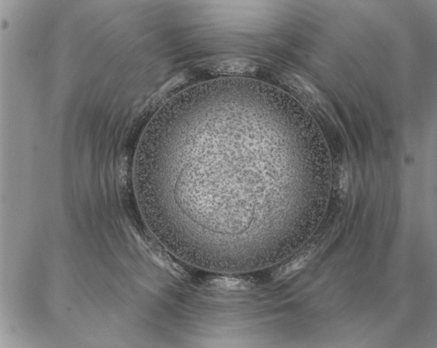 X0000087380326200704271603