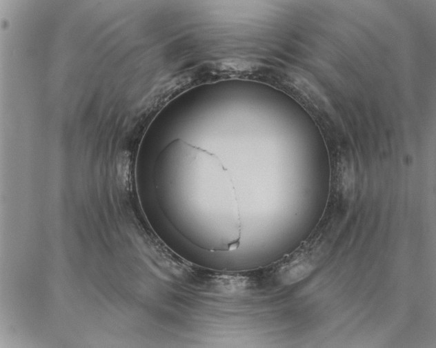 X0000087380328200704271603