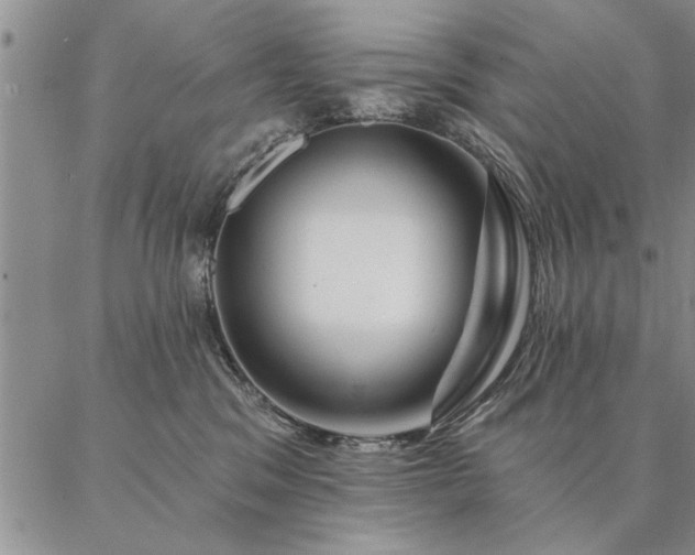 X0000087380329200704271603