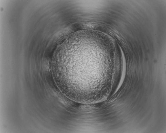 X0000087380331200704271603