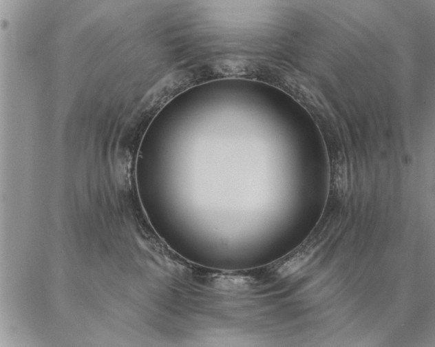 X0000087380332200704271603