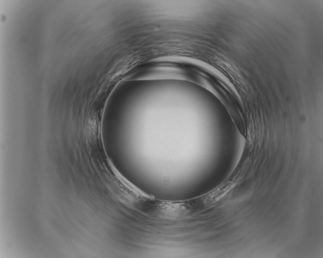 X0000087380333200704271603