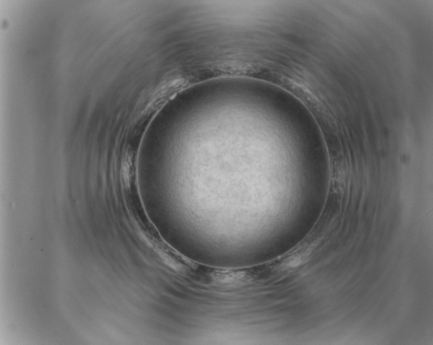 X0000087380334200704271603