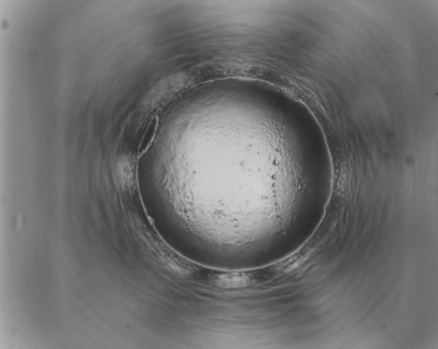 X0000087380335200704271603