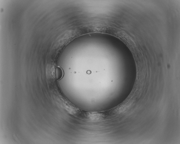 X0000087380336200704271603