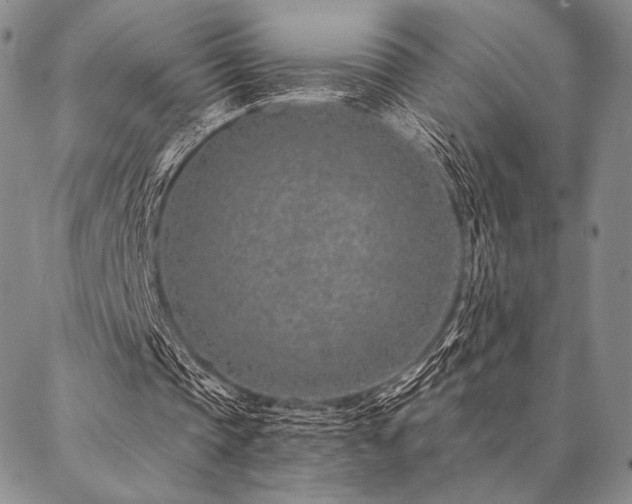 X0000087380337200704271602