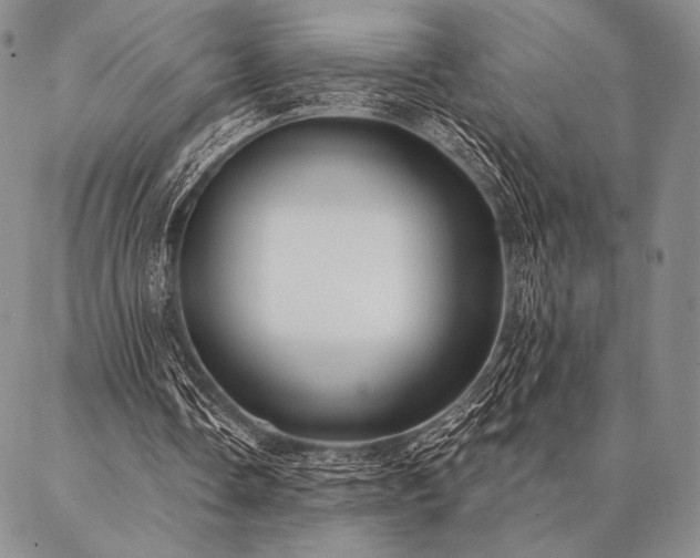 X0000087380338200704271603