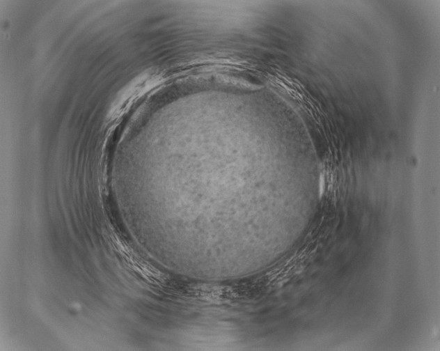 X0000087380339200704271603