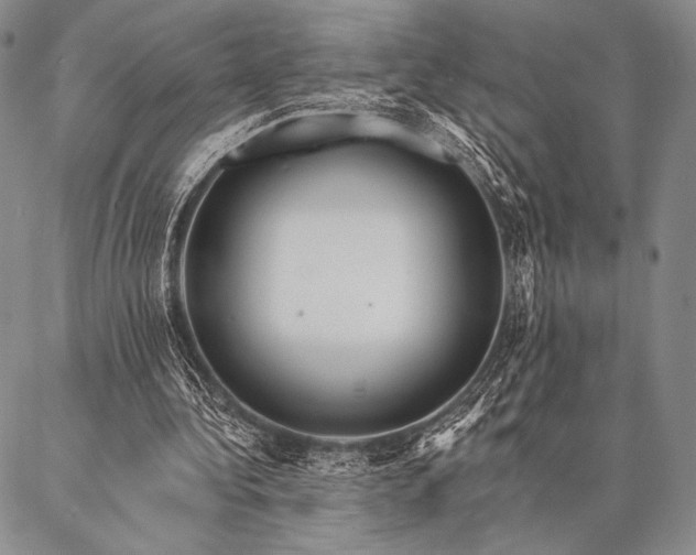 X0000087380340200704271603