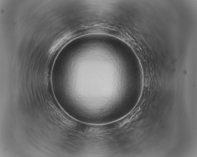 X0000087380341200704271603