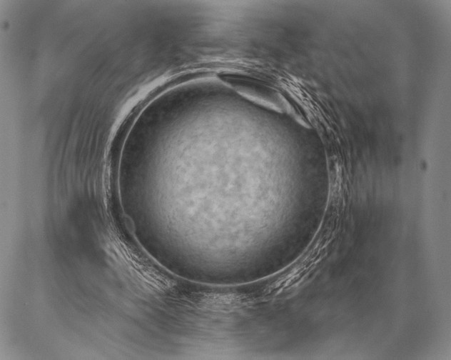 X0000087380342200704271603