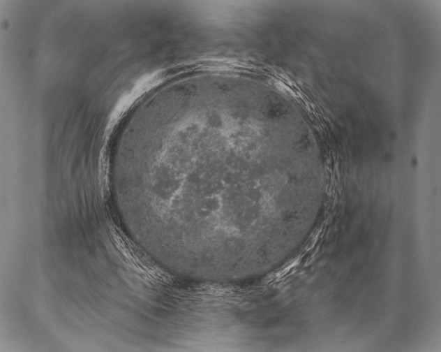 X0000087380343200704271603