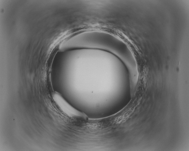 X0000087380344200704271603