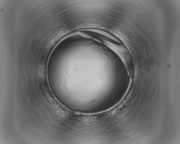 X0000087380345200704271603