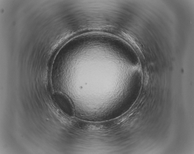 X0000087380346200704271603