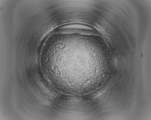 X0000087380347200704271603