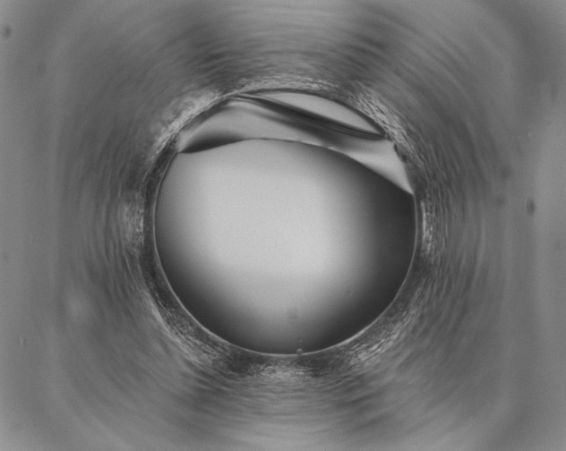 X0000087380348200704271603