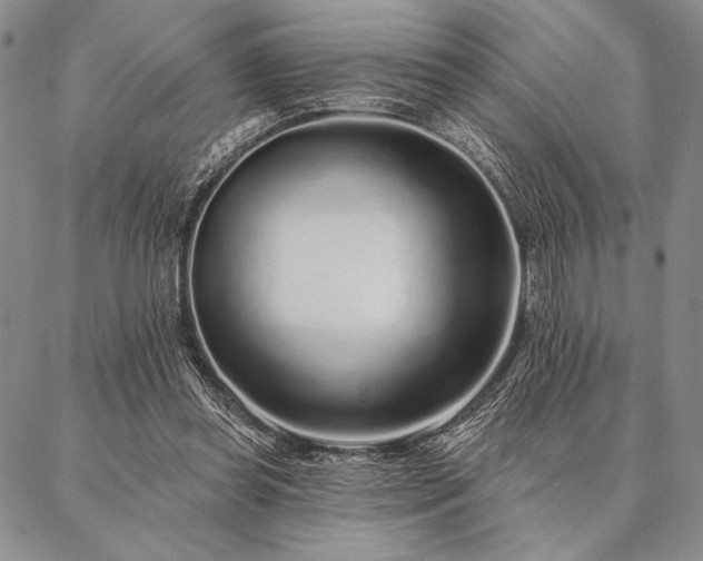 X0000087380349200704271603