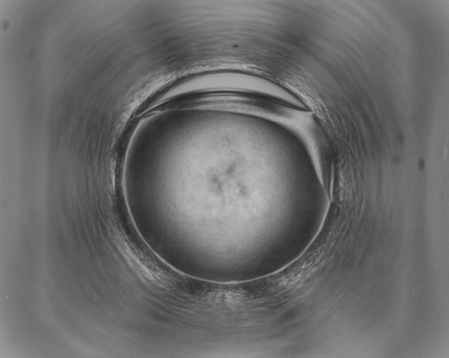 X0000087380350200704271603