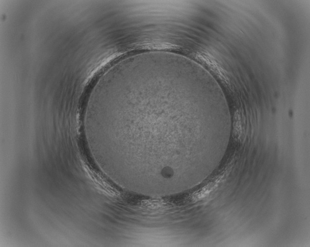 X0000087380351200704271603